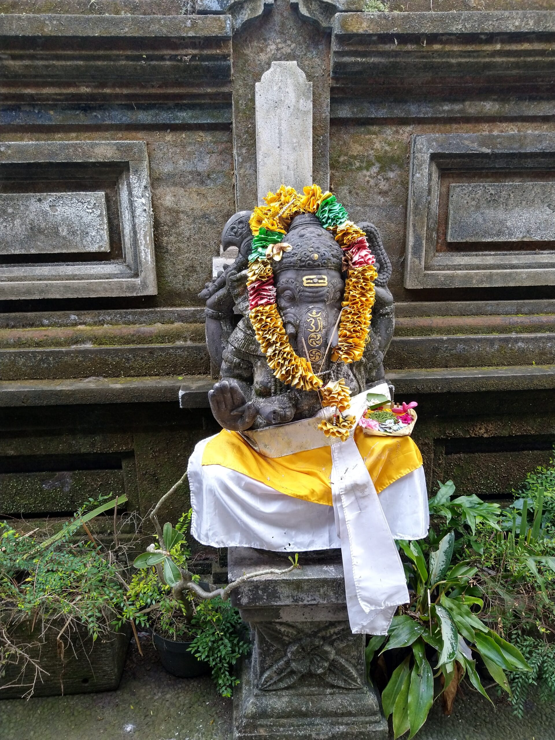 Beautiful Bali – Part 6 – In Ubud | नयनरम्य बाली – भाग ६ – मुक्काम पोस्ट ऊबुद