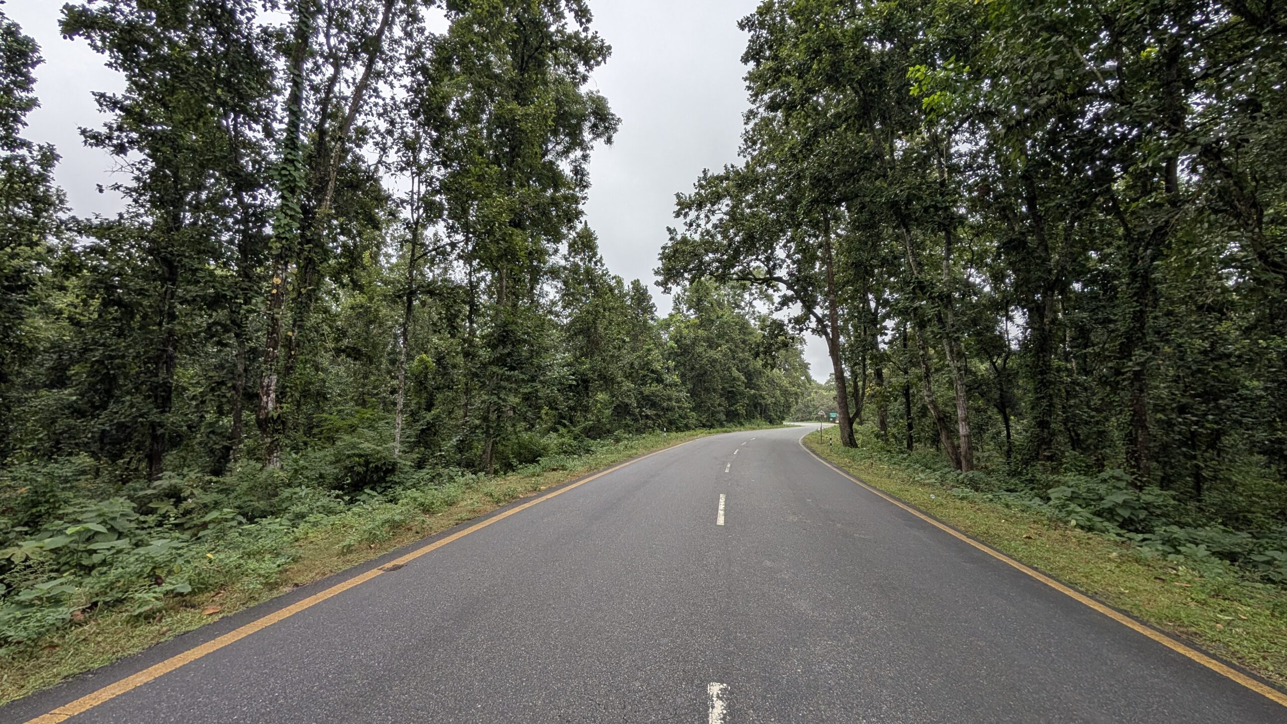 Road passing through the dense forest of nameri national park